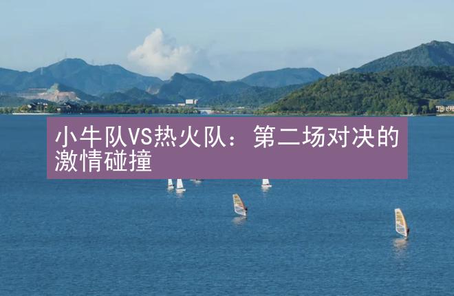 小牛队VS热火队：第二场对决的激情碰撞