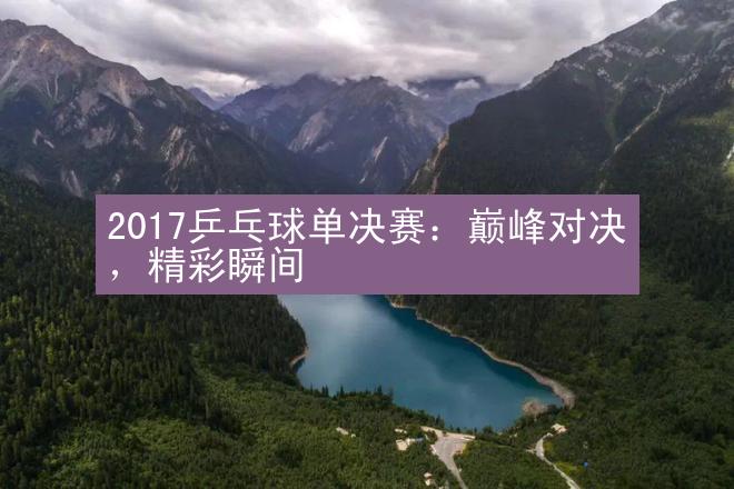 2017乒乓球单决赛：巅峰对决，精彩瞬间