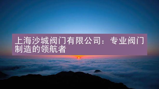 上海沙城阀门有限公司：专业阀门制造的领航者