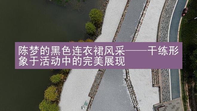 陈梦的黑色连衣裙风采——干练形象于活动中的完美展现