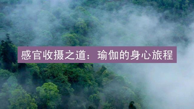 感官收摄之道：瑜伽的身心旅程