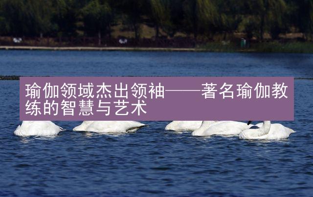 瑜伽领域杰出领袖——著名瑜伽教练的智慧与艺术