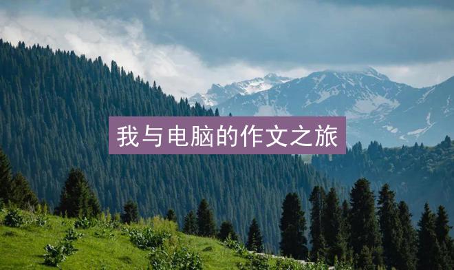 我与电脑的作文之旅