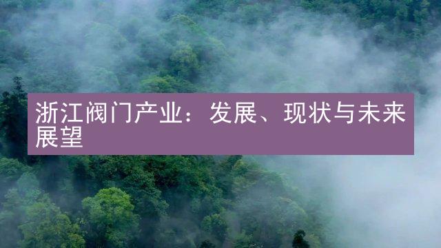 浙江阀门产业：发展、现状与未来展望